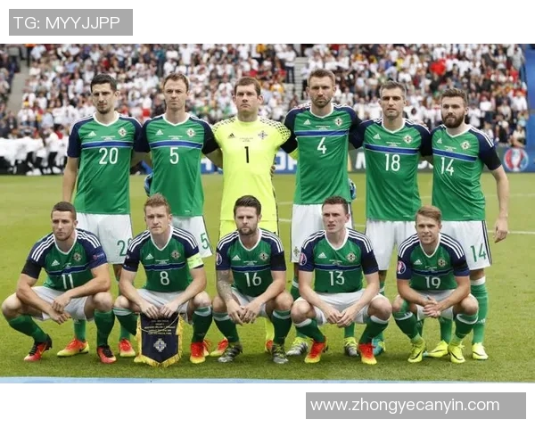 精彩对决直播爱尔兰与威尔士足球赛全程回顾与分析 精彩对决直播爱尔兰与威尔士足球赛全程回顾与分析