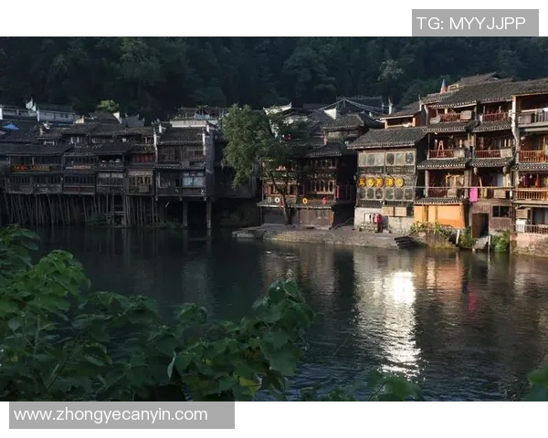 铂斯光荣与凤凰的巅峰对决谁将书写传奇新篇章 铂斯光荣与凤凰的巅峰对决谁将书写传奇新篇章